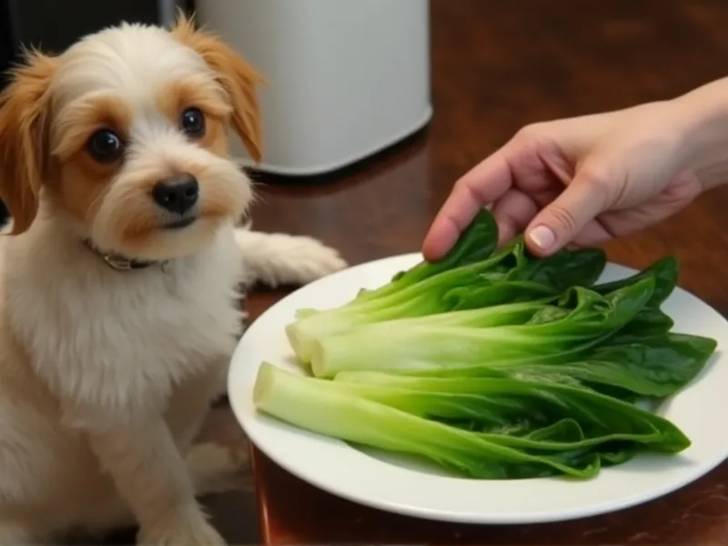 can dogs eat bok choy cooked